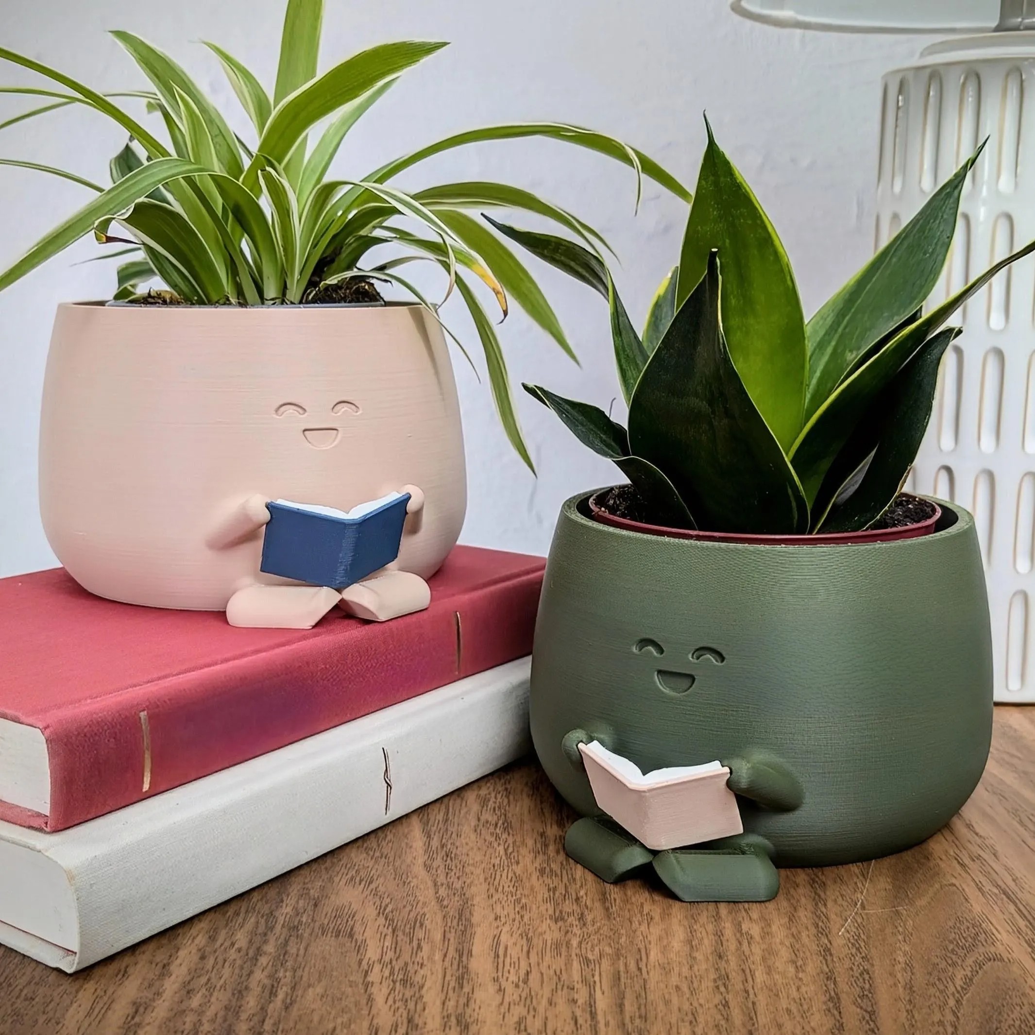 Unique Plant Pot Reading,Christmas Gift for Her.