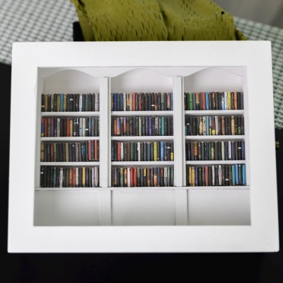 Anxiety Bookshelf Selected,Book Lover Gift,miniature model bookshelves.Study Decoration